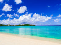 2024年　夏季休業のご案内