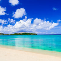 2024年　夏季休業のご案内